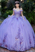Enchanting Floral Details Quinceañera Ball Gown for Women, Sizes 4/XS-16/3X